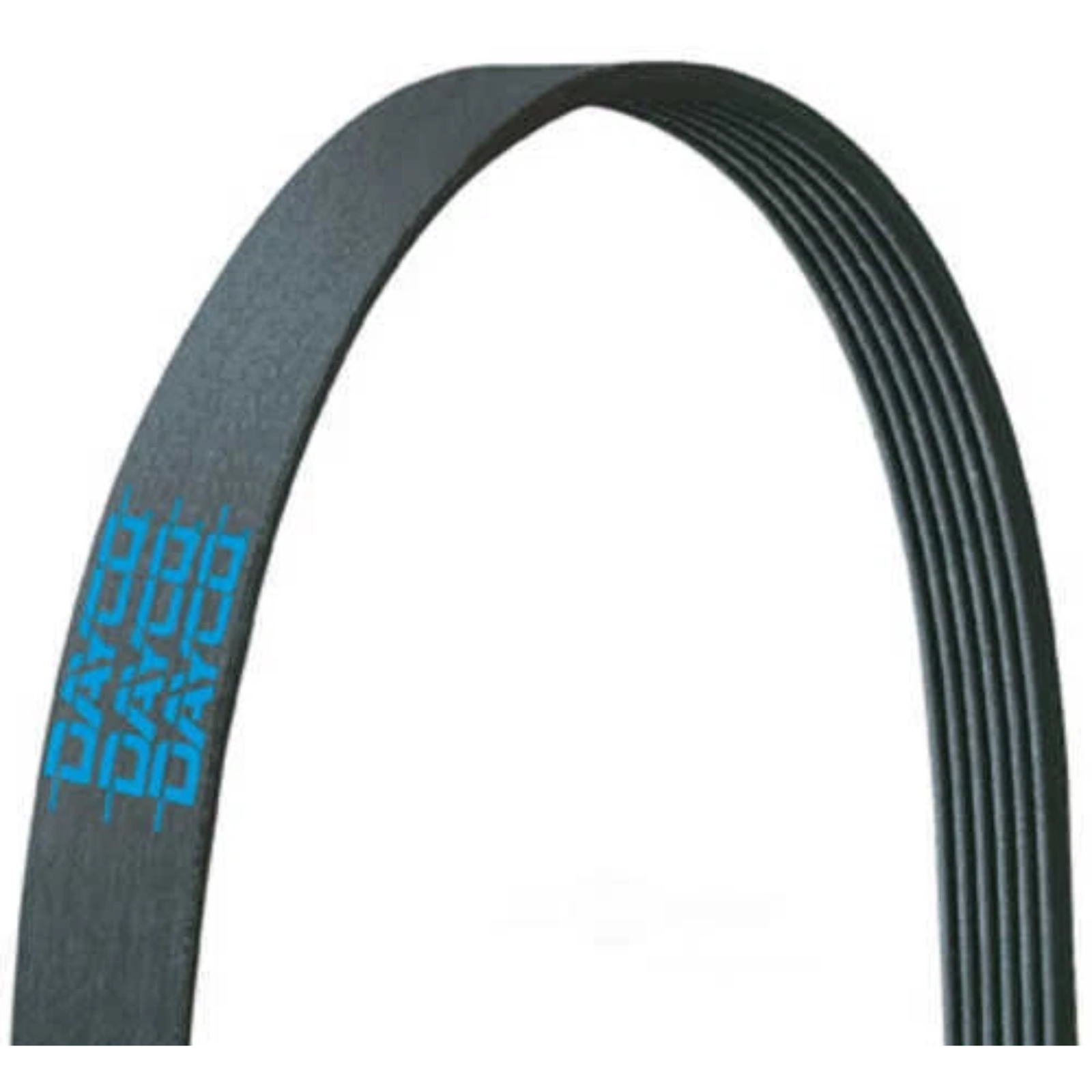 Serpentine Belt (ISX15/X15)